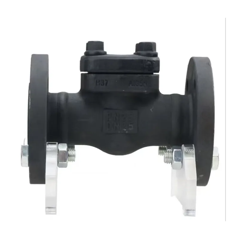 Forged Steel Check Valve